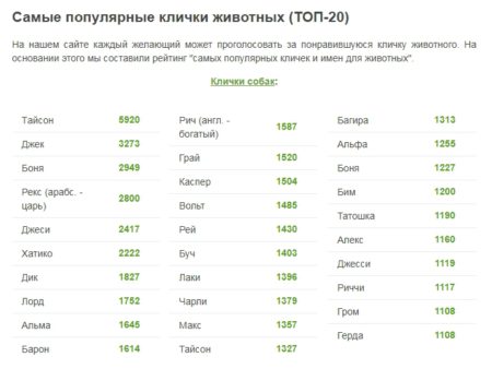 ロシアのペットの名前 人気ランキング ペットシッターsos 全国展開のペットシッターサービス