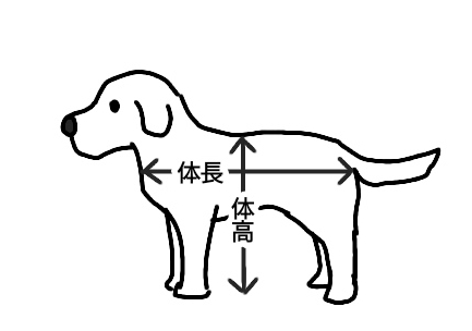 測り 犬 方 体高