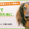 ペットヘルパー養成講座 高齢ペット・老犬介護の資格取得講座