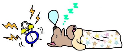 犬と睡眠