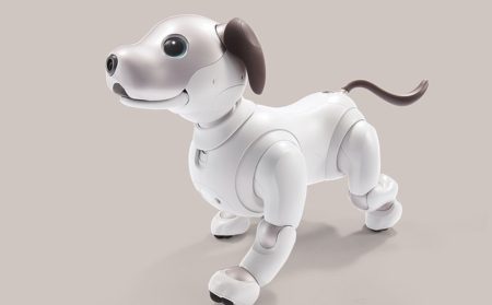 犬はaiboと仲良くなれるのか - ペットシッターSOS - 全国展開のペット