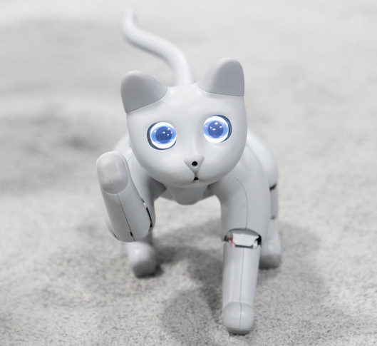 ついに猫ロボット誕生か！？ - ペットシッターSOS - 全国展開のペット